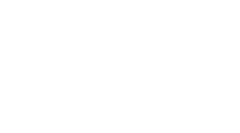 VSN Realty